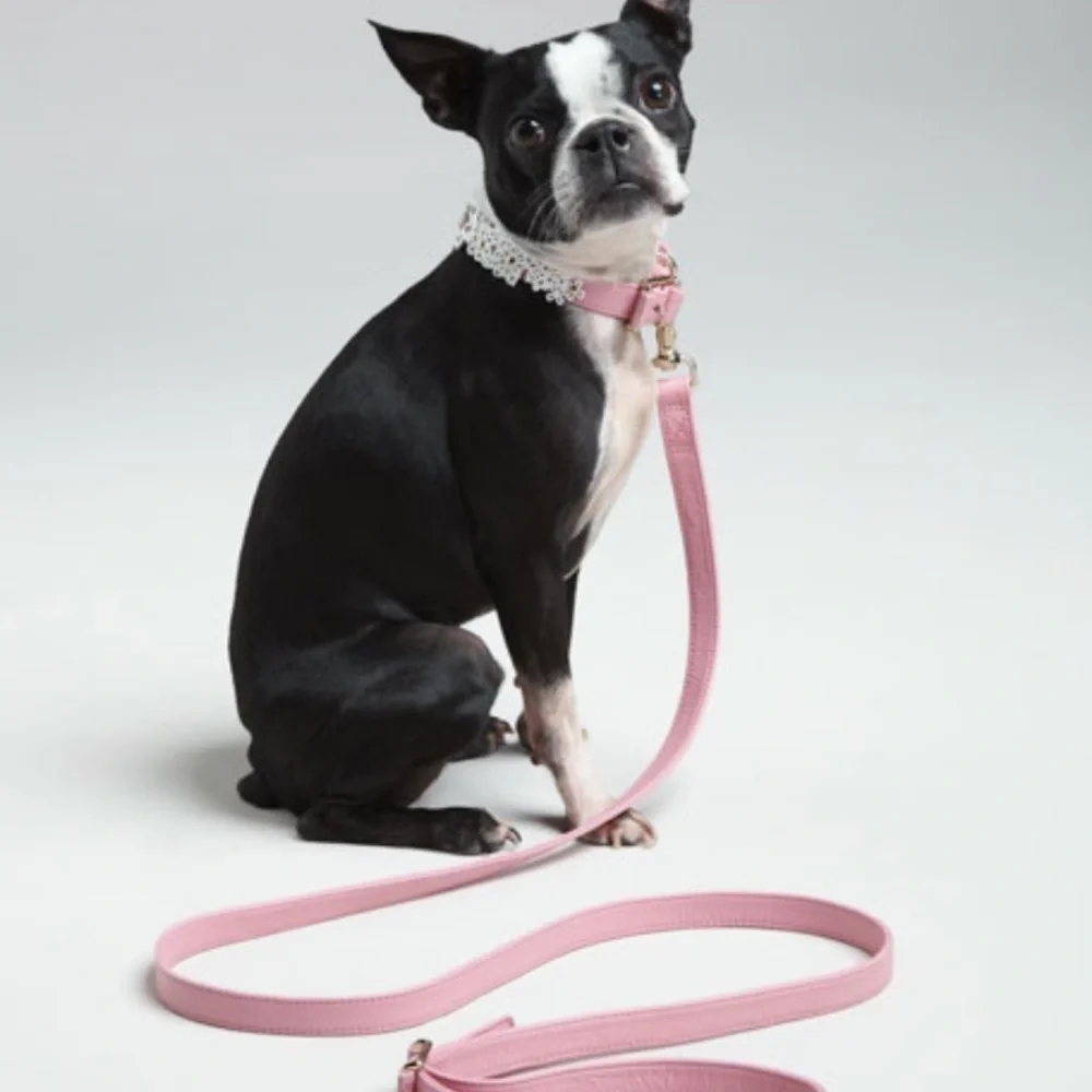 New Oscar De La Renta leather dog leash. - Picture 1 of 8